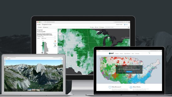 arcgis web app builder collect edit data