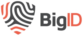 BigID, Inc. logo