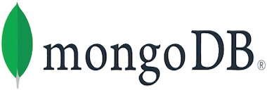 IBM Data Management Platform for MongoDB logo