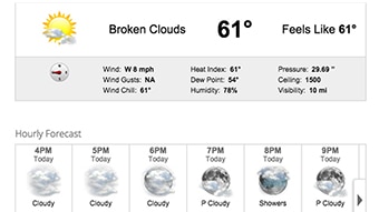 Daily forecast web widget through Max Web.